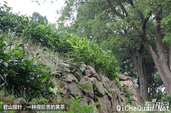 奇瑞 瑞虎